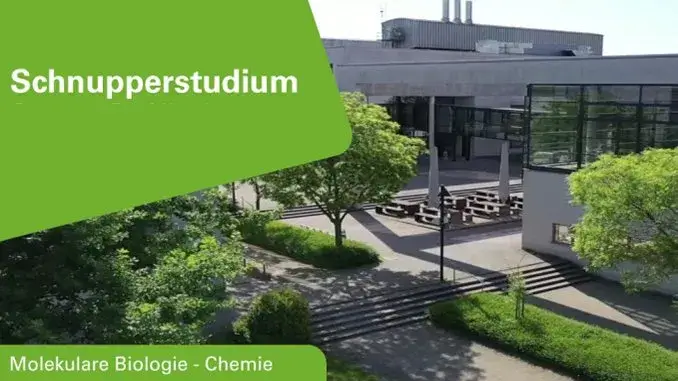 Schnupperstudium an der Westfälischen Hochschule