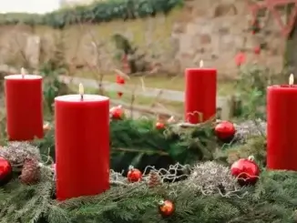 Adventskranz: im Workshop richtig binden lernen