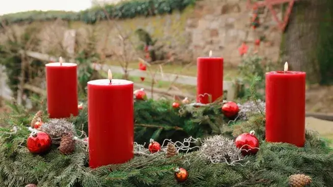 Adventskranz: im Workshop richtig binden lernen