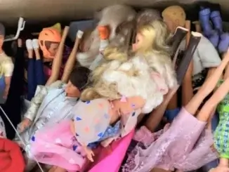 Barbie-Puppen, Teddys & Co.