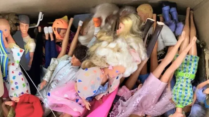 Barbie-Puppen Barbie-Puppen, Teddys & Co.