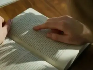 Lesen Deutsch B1: Diese deutschen Textsorten kommen im Test vor