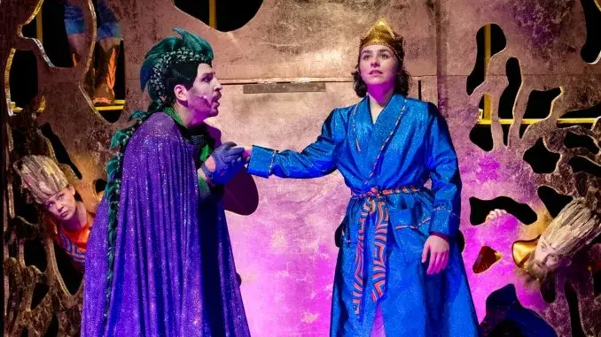 Ein Kater stiefelt in der Stadthalle rum