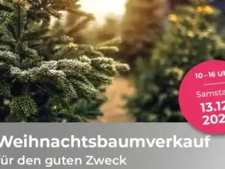Weihnachtsbaumverkauf 2025 am St. Barbara-Hospital