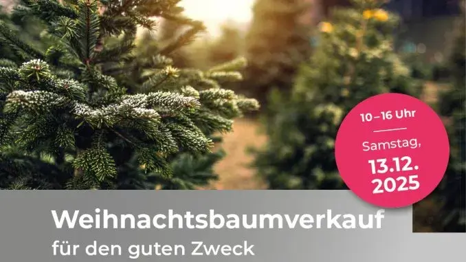 Weihnachtsbaumverkauf am Barbara-Hospital 2025_ergebnis Weihnachtsbaumverkauf 2025 am St. Barbara-Hospital