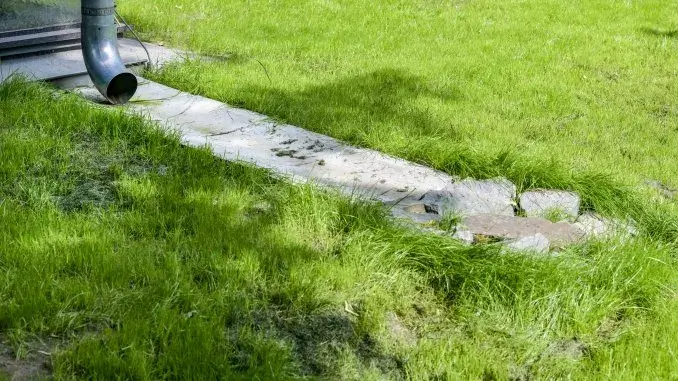 Regenwasserversickerung Schwammstadt Schwammstadt: Workshop zur Regenwasserversickerung