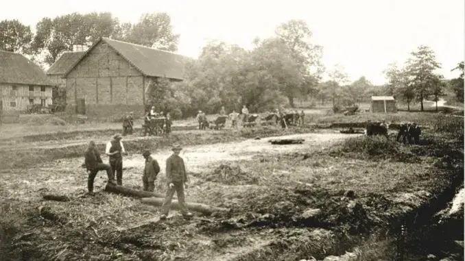 Trockenlegung Wittringen - Museum Parkanlagen in Gladbeck: Überblick und Geschichte