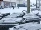 Eiszeit in der Mülltonne - Gladbecker sollen helfen