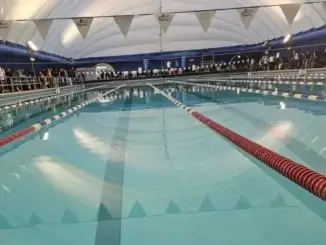 Wettkampfschwimmer: SV13-Erfolge