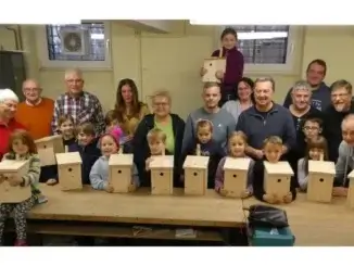 Nistkästen: Workshop für Kinder und Familien