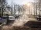 Komposttag: 250 Fahrzeuge - 60 Kubikmeter Kompost