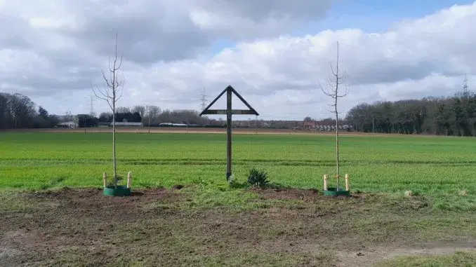 Neue Linden am Uechtmannkreuz Linden: Nachpflanzung am Uechtmannskreuz