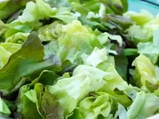 Ernährungstipps für Frauen: Fit und energiegeladen