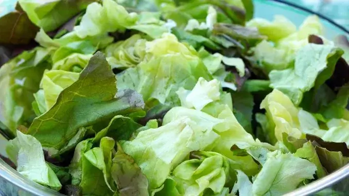 Ernährungstipps für Frauen: Fit und energiegeladen