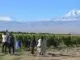 Entdecken Sie den Kaukasus mit Armenien und seine Schönheit