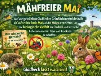 Mähfreier Mai fördert biologische Vielfalt