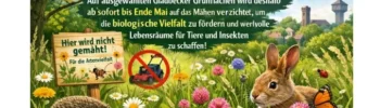Mähfreier Mai fördert biologische Vielfalt
