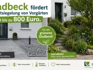 Belohnung: Fördermittel für Vorgartenumgestaltung