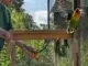 Vogelinsel im Schlosshof: Tiere hautnah erleben