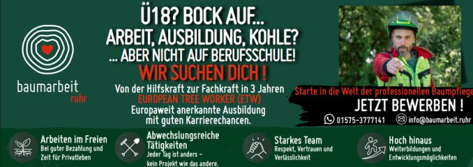 Hier geht es zur Webseite baumarbeit.ruhr