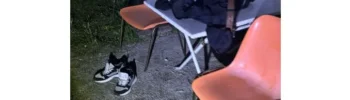 Nächtlicher Besuch im Freibad Gladbeck