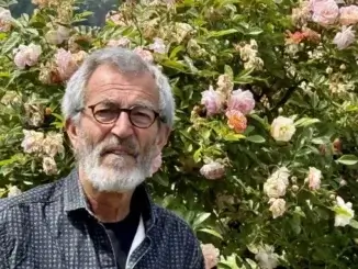 Hitzeschutz jetzt planen und umsetzen