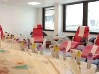 Blutbestände durch Gluthitze belastet - DRK klagt